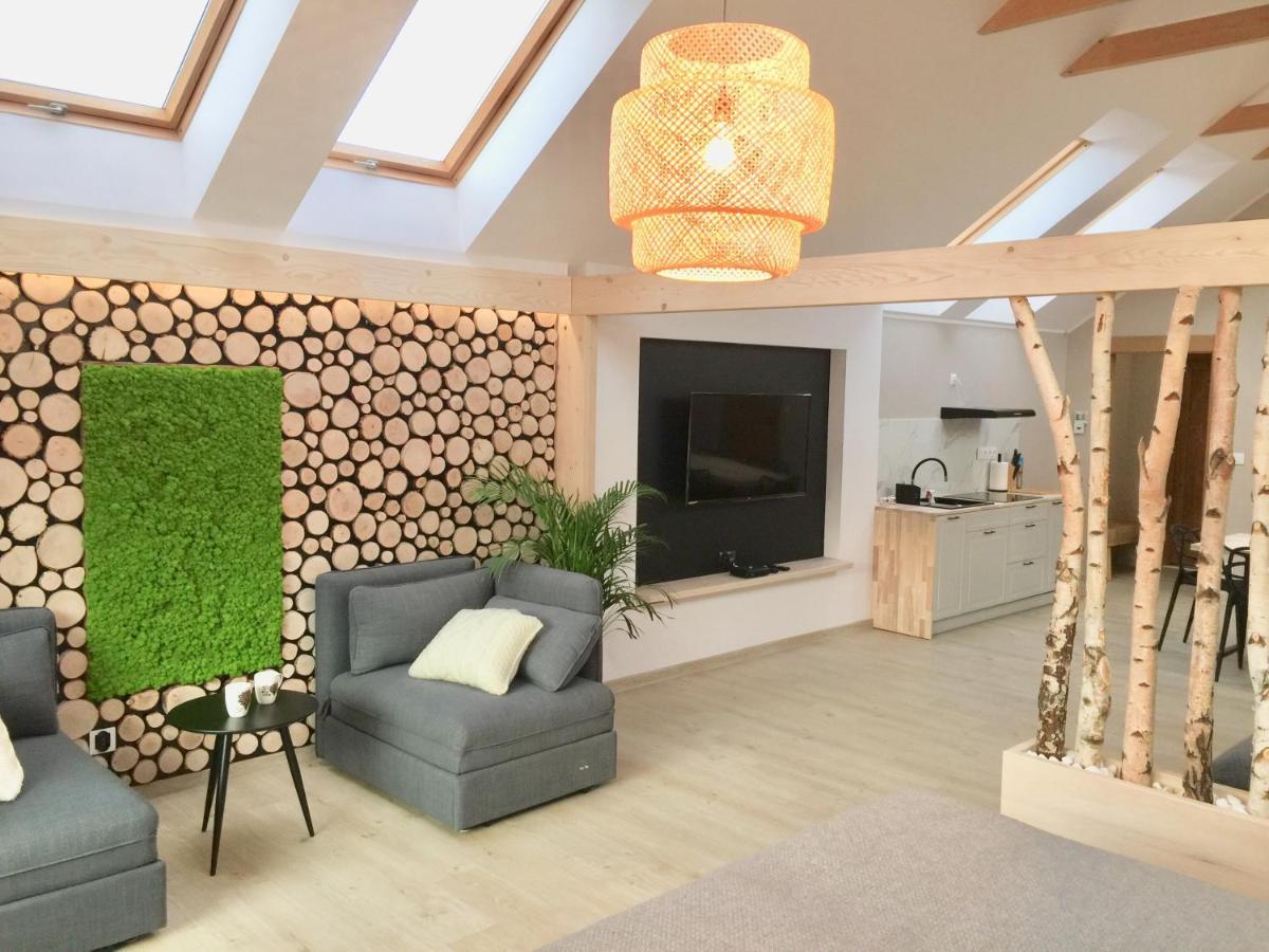 Willa Wojcik Apartamenty I Pokoje Sromowce Niżne Exteriér fotografie